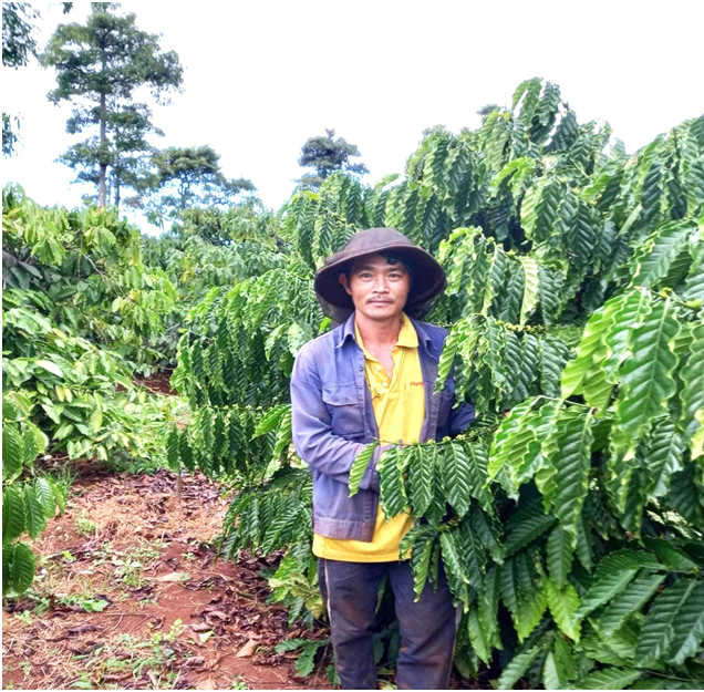 Hiệu quả từ nguồn vốn vay từ Ngân hàng Chính sách xã hội  trên địa bàn thị trấn Quảng Phú